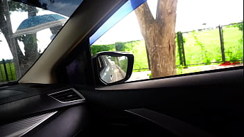 public agent arab