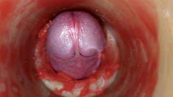 granny prn