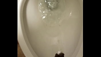 gif swinger