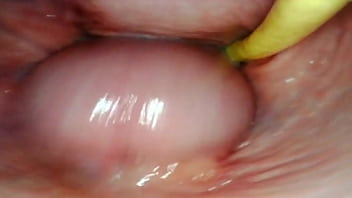 e621 mlp