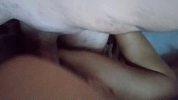 divx video porn